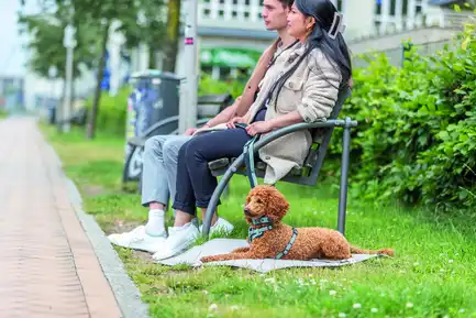 Шлея Trixie CityStyle H-harness для собак бавовна S–M 42–60 см 15 мм світло-зелена: додаткове фото 4