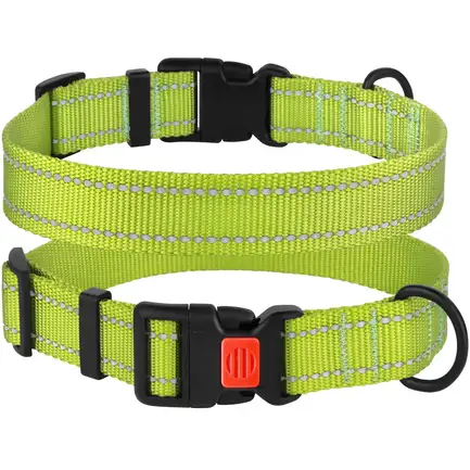 Нашийник для Собак BronzeDog Active Нейлоновий зі Світловідбиттям та Пластиковою Пряжкою Салатовий L