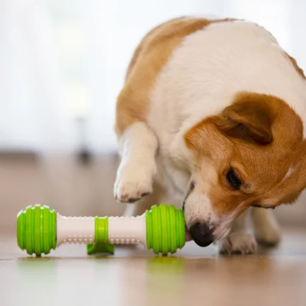 Інтерактивна Автоматична Іграшка Petgeek Playbone для Собак L: додаткове фото 4