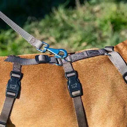 Ferplast BRAVE MEDIUM MARRONE PETTORINA шлея для собак коричнева: додаткове фото 4
