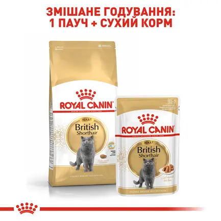 Вологий корм Royal Canin BRITISH SHORTHAIR ADULT для котів всіх поріди Британська короткошерста кішка 85 г: додаткове фото 5