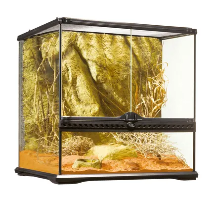 Тераріум Exo Terra Natural Terrarium скляний, 45 x 45 x 45 см: додаткове фото 2