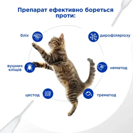 Селавет (Selavet) протипаразитні краплі для котів від 2,6 кг до 7,5 кг, 0,75 мл, MODES: додаткове фото 3