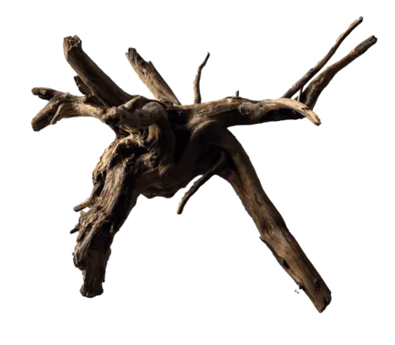 Павутинне дерево BLACK SPIDER WOOD SMALL (A4080380)