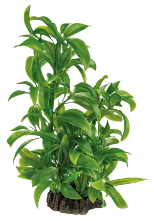 Штучна рослина для акваріума SF ART PLANT 25CM DRACAENA (A4070805)