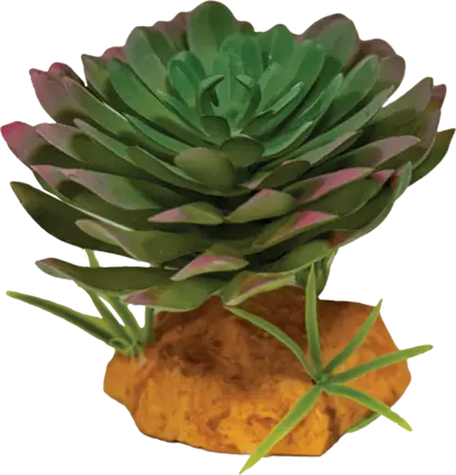 REPTO PLANT ECHEVERIA (R5100625) Штучна рослина для тераріума