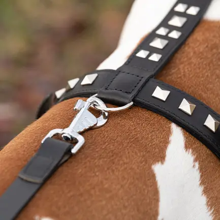 Ferplast GIOTTO P L-XL HARNESS LUXOR Шлея, шкіра: додаткове фото 7