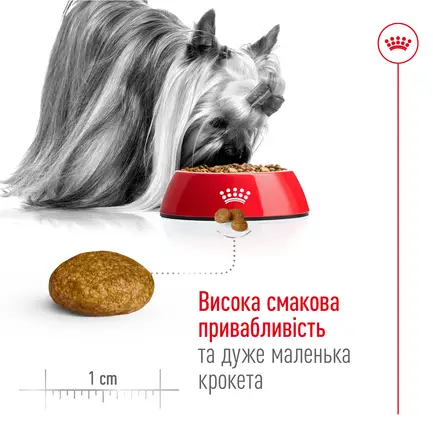 Сухий корм Royal Canin XSMALL ADULT 8+ для собак зрілого віку мініатюрних порід 3 кг: додаткове фото 4