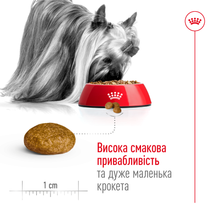 Сухий корм Royal Canin XSMALL ADULT 8+ для собак зрілого віку мініатюрних порід 3 кг — Фото 3