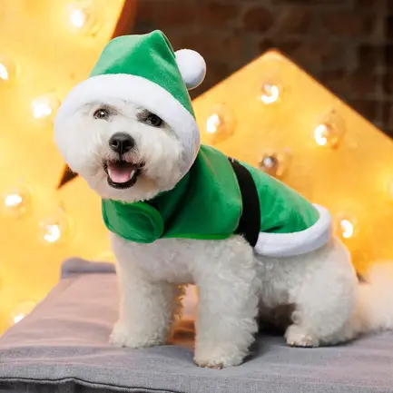 Попона Pet Fashion "Santa" для собак, розмір M, зелена: додаткове фото 6