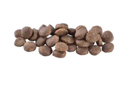 Сухий корм Brit Care Dog Grain-free Puppy для цуценят, беззерновий з лососем, 1 кг: додаткове фото 2