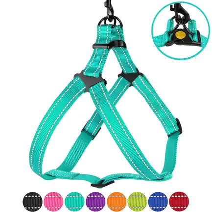 Шлея для Собак BronzeDog Active Нейлонова зі Світловідбиттям Ментолова L: додаткове фото 6
