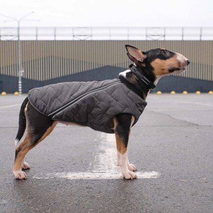 Жилет Pet Fashion «E.Vest» для собак, розмір XL, сірий — Фото 5