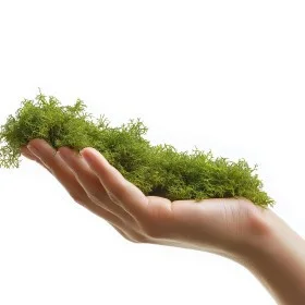 Натуральний мох торф’яний Terrario ForestHeart Sphagnum Moss 100г для тераріумів та орхідей: додаткове фото 9