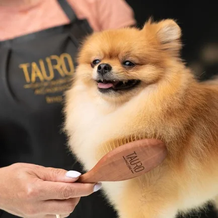 Tauro Pro Line Prestige Щітка дерев'яна зубці 20 мм з нержавіючої сталі, коричнева, овальна, мала, 18,5 х 4,8 см: додаткове фото 3
