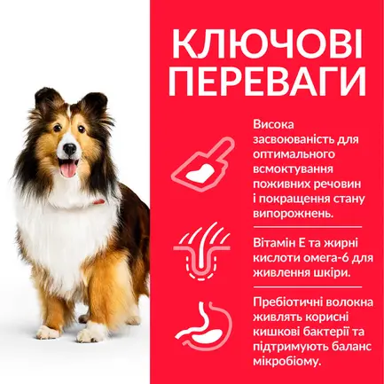 Hill’s Science Plan Adult Sensitive Stomach&amp;Skin Medium Breed Сухий корм при чутливому шлунку та шкірі для дорослих собак середніх порід, з куркою, 14 кг — Фото 2