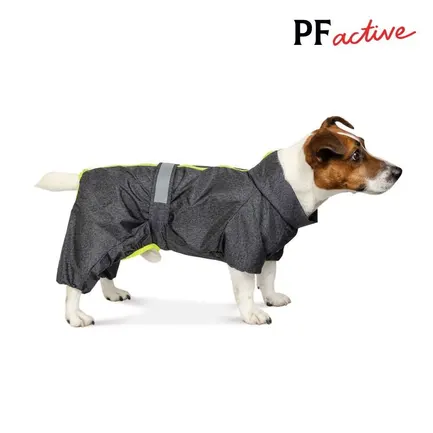 Дощовик Pet Fashion «Rain» для такс, розмір M, сірий: додаткове фото 2