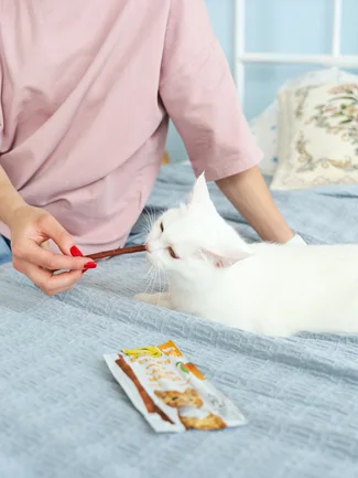 Ласощі GimCat М’ясні палички для котів, з лососем та манго, 3 шт по 5 г: додаткове фото 3