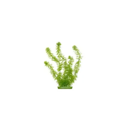 HORNWORT 20см пластикова рослина