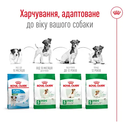 Сухий корм Royal Canin MINI AGEING 12+ для собак зрілого віку малих порід 0,8 кг: додаткове фото 3