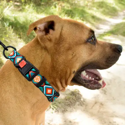 Нашийник для Собак BronzeDog Urban Нейлоновий з Пластиковою Пряжкою Ромби M: додаткове фото 8