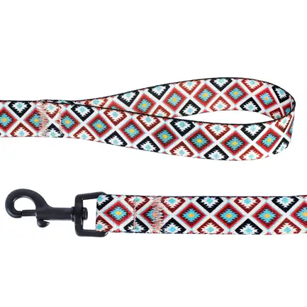 Повідець для Собак Bronzedog Urban Гуцульський Нейлоновий Коричневий S: додаткове фото 2