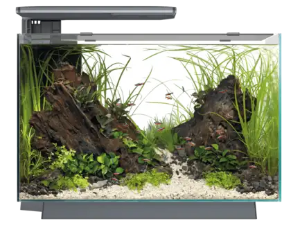 Акваріумний набір SuperFish Quadro 70 Pro Black (A4052225)