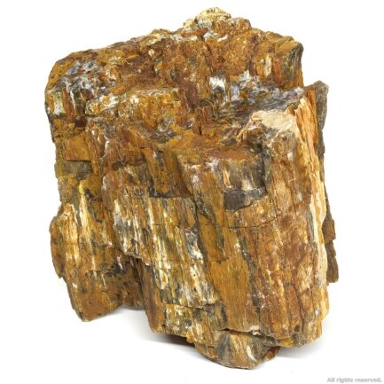 Декоративний природній камінь Hobby Petrified Wood L 2.2-4кг (40688)