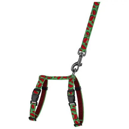 Шлея з Повідцем для Котів та Дрібних Собак BronzeDog Urban Fruits Кавун 2XS: додаткове фото 2