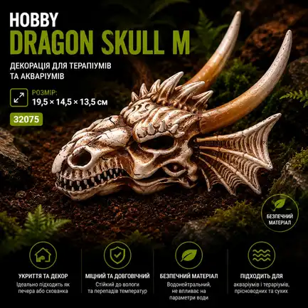 Декорація череп дракона Hobby Dragon Skull M 19,5×14,5×13,5 см для акваріума і тераріума (32075): додаткове фото 7