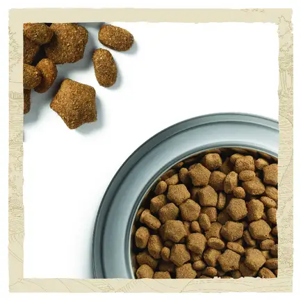 Сухий корм DOG CHOW Sensitive Adult 1+ для дорослих собак схильних до алергії з лососем 14 кг: додаткове фото 10