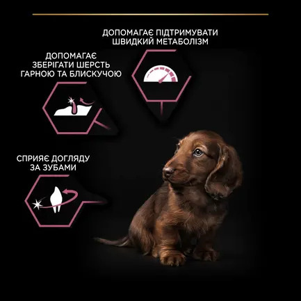 Сухий корм PRO PLAN Small&Mini Puppy <1 Sensitive Skin для цуценят дрібних порід з чутливою шкірою з лососем 3 кг: додаткове фото 8