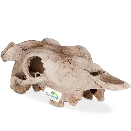 Декорація череп буйвола Terrario Buffalo Skull 21x12x8см (22128): додаткове фото 5