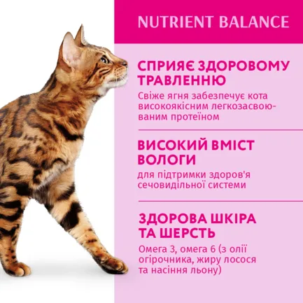 OPTIMEAL конс.корм д/дор котів з ягням та овочами в желе 0,085 кг: додаткове фото 3