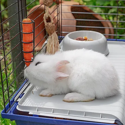 Ferplast CAGE RABBIT 120 (*1) Клітка для кролів: додаткове фото 7