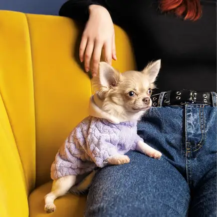 Толстовка Pet Fashion «Delicate» для собак, розмір S, бузкова: додаткове фото 3