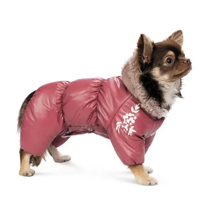 Комбінезон Pet Fashion Cherry S дівчинка для собак: додаткове фото 3