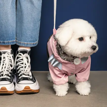 Дощовик Pet Fashion «Ariel» для дівчинки, розмір L, рожевий: додаткове фото 4