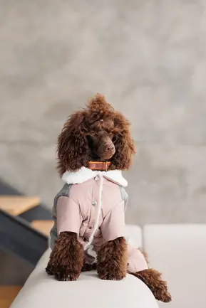 Костюм дівчинка Pet Fashion Twiddy S для собак: додаткове фото 5
