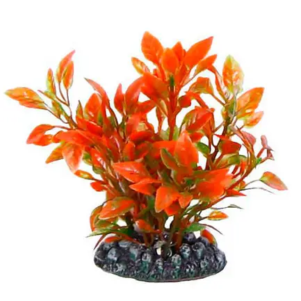 Акваріумна рослина Aquatic Plants, 8 см х 10 шт / уп (0802)