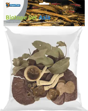 Листя катаппи BIOTOPE SET ASIA (A4080455)
