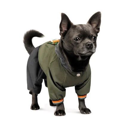 Дощовик Pet Fashion «Jimi» для собак, розмір XS, зелений (лімітована серія): додаткове фото 2
