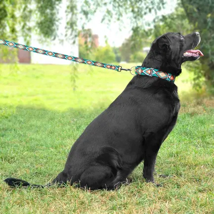 Повідець для Собак Bronzedog Urban Нейлоновий Ромби XS: додаткове фото 7