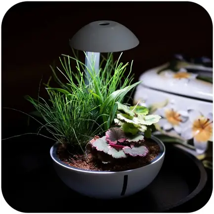 Мінітераріум Chihiros Tiny Terrarium Egg з LED-підсвіткою та керуванням через застосунок: додаткове фото 2