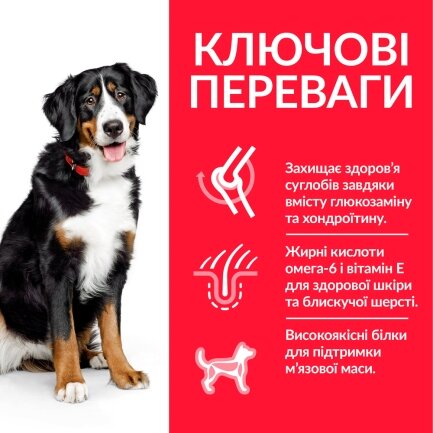 Hill’s Science Plan Adult Large Breed Сухий корм для дорослих собак великих порід, з куркою, 14 кг — Фото 2