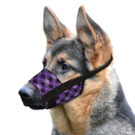 Намордник для собак Bronzedog нейлоновий регульований Фіолетовий L