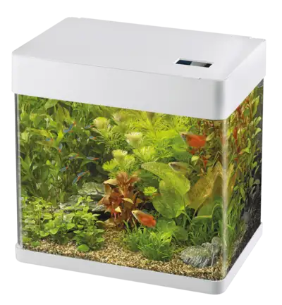 Акваріум скляний - Superfish Panorama 50 LED WHITE (A4052015)