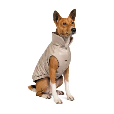 Жилет Pet Fashion «Bright» для собак, розмір XL, бежевий: додаткове фото 2