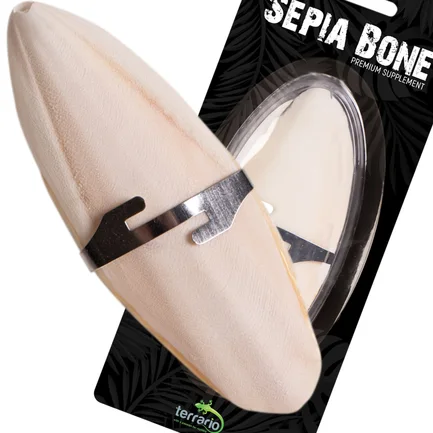 Сепія для черепах, природний вапняк для рептилій Terrario Sepia Bone 10-15см: додаткове фото 2