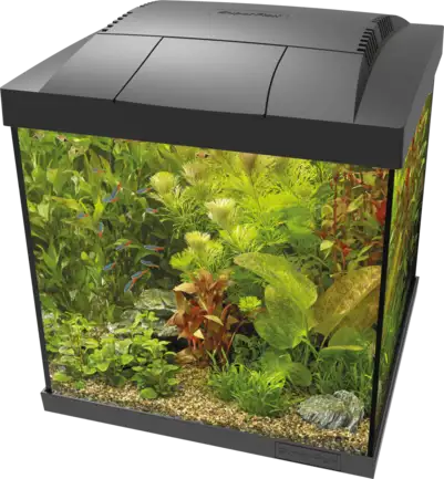 Акваріумний комплект - SF START QUBE 30 KIT BLACK (A4052350)